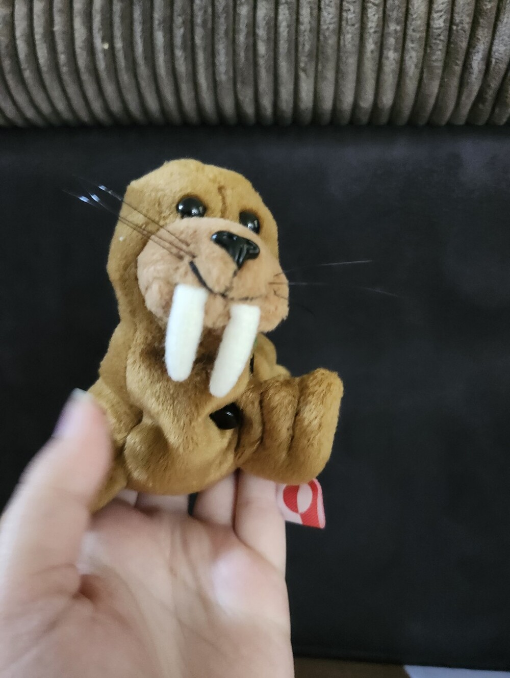 Coca Cola Brown Walrus Plush Keychain with White Tusks